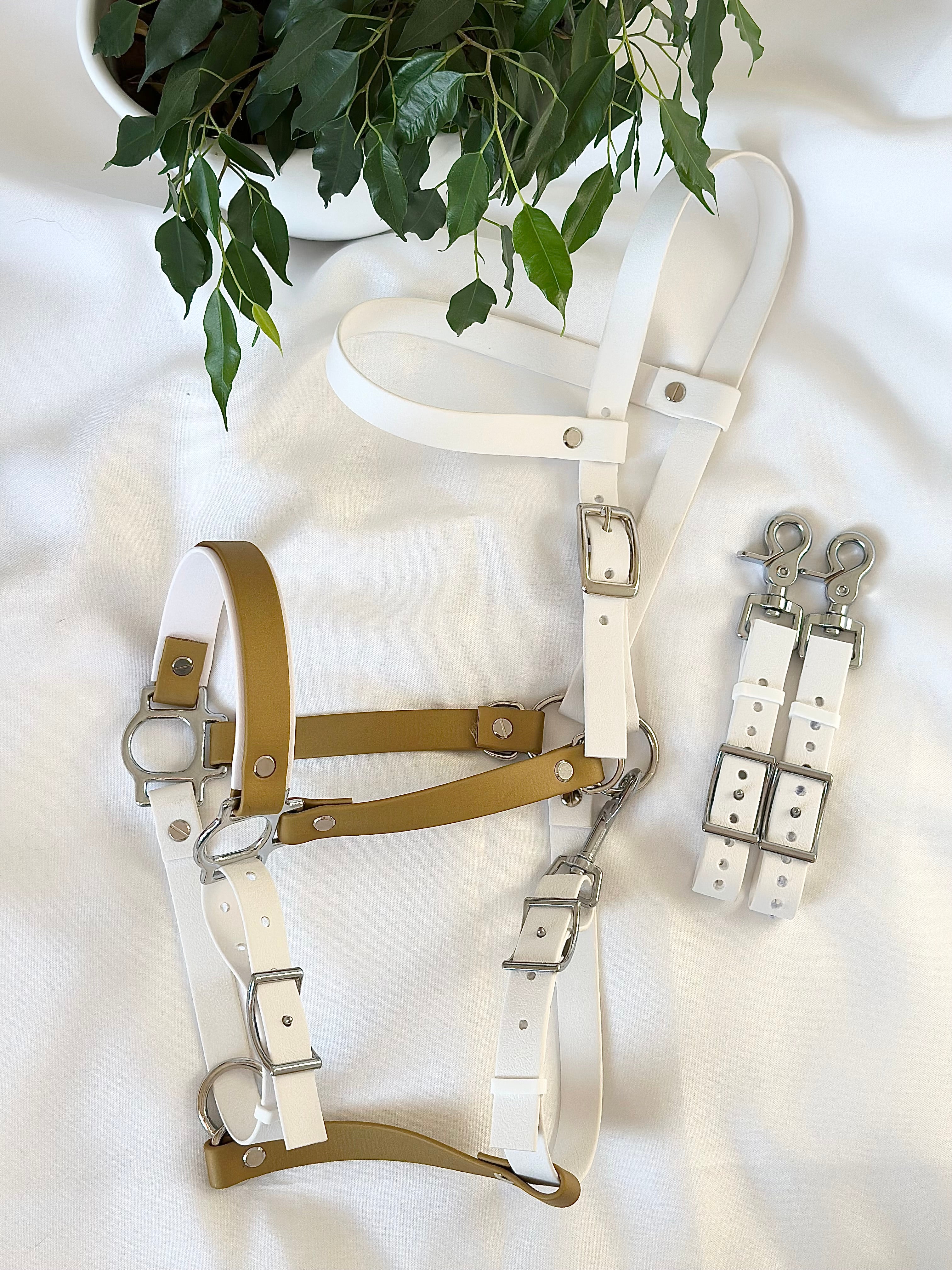 Bridon Vedette - cob