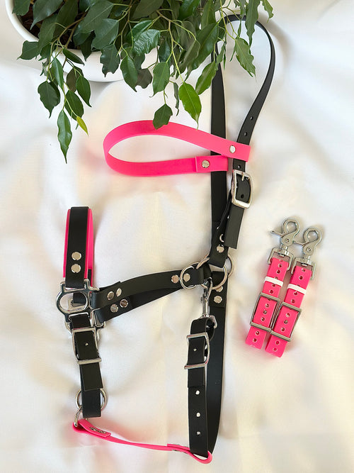 Bridon Vedette - cob