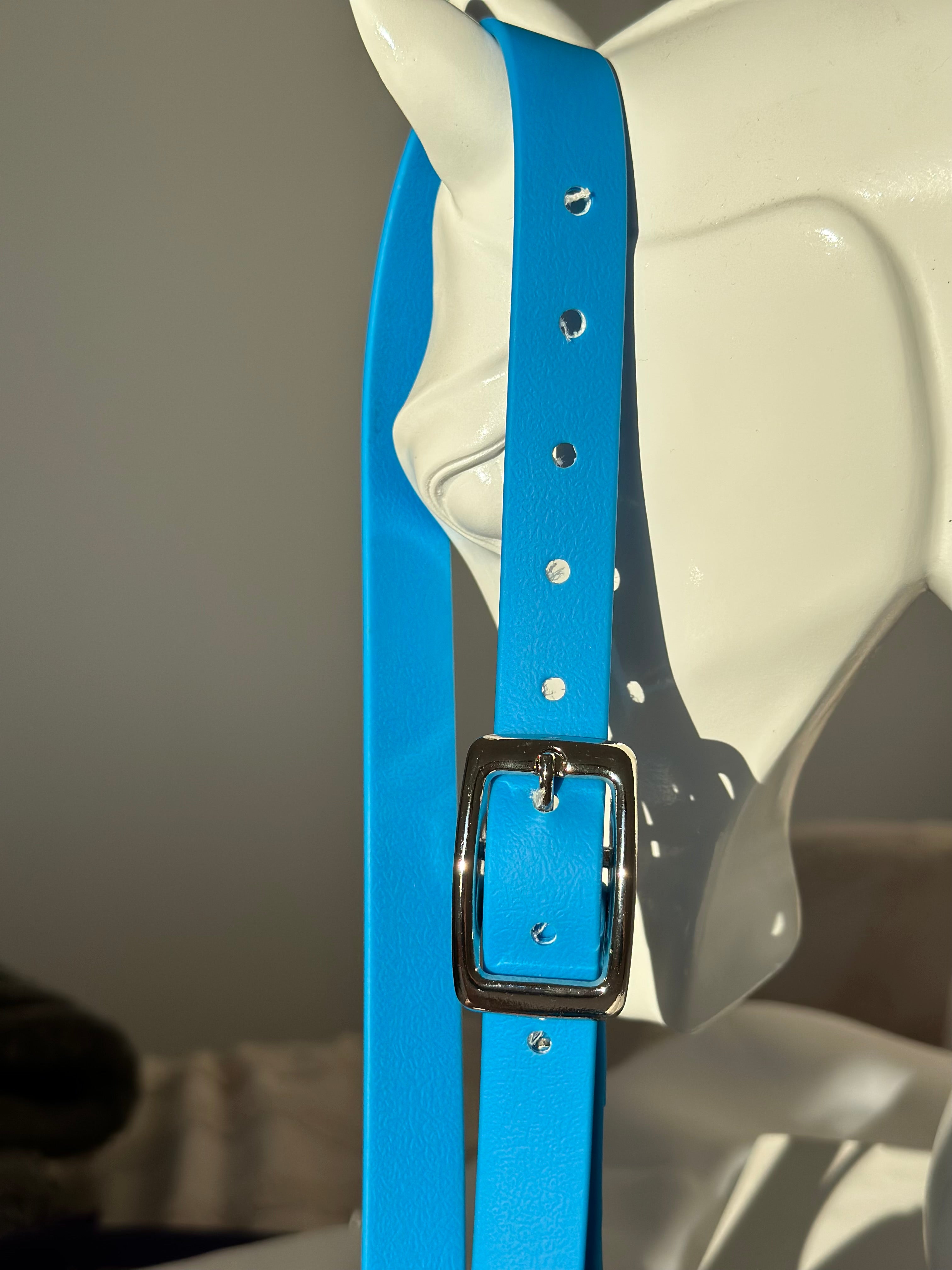 Licol poney - bleu 🩵