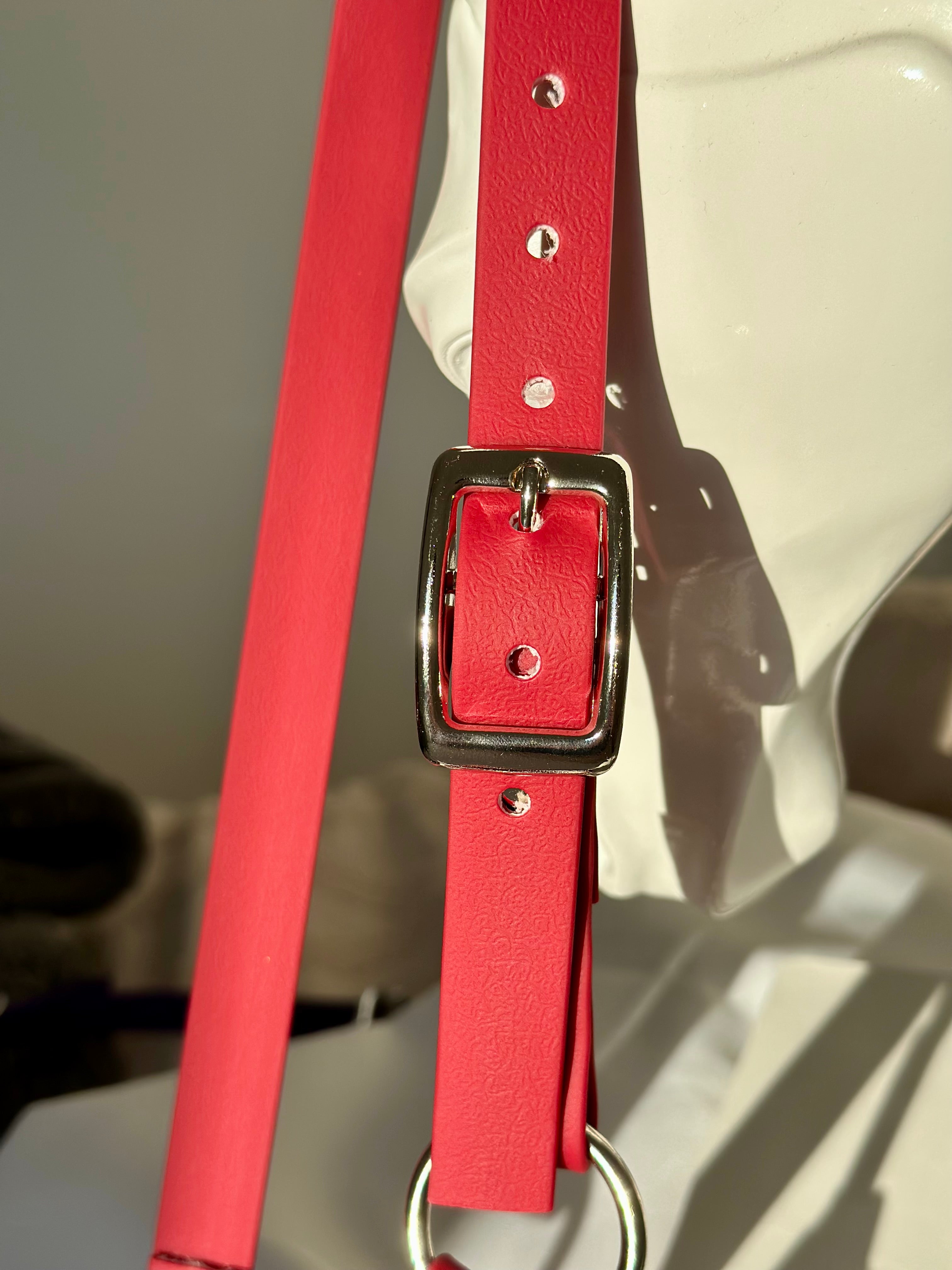 Licol cob - bordeaux ♥️