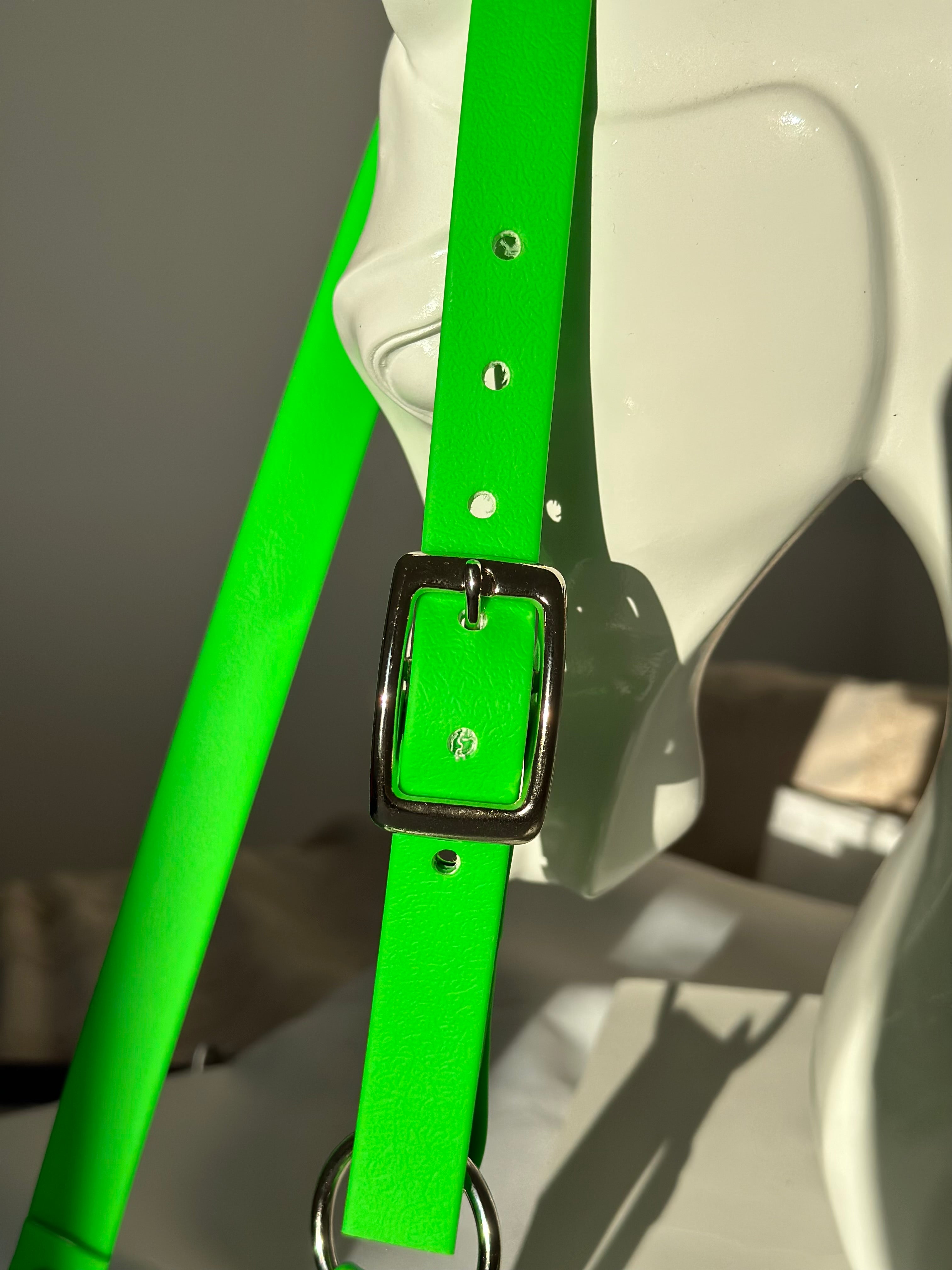 Licol cob - vert néon 💚