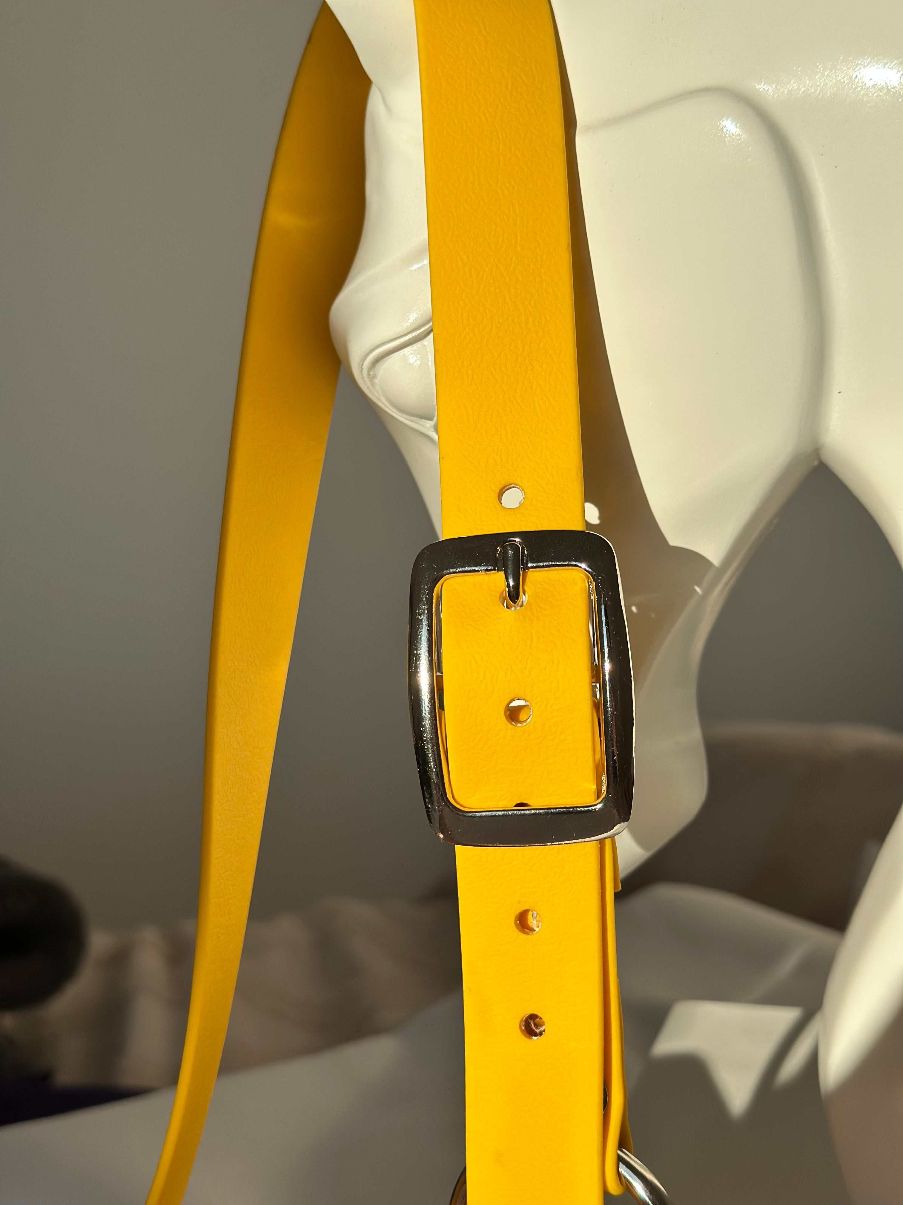 Licol cheval - jaune 💛