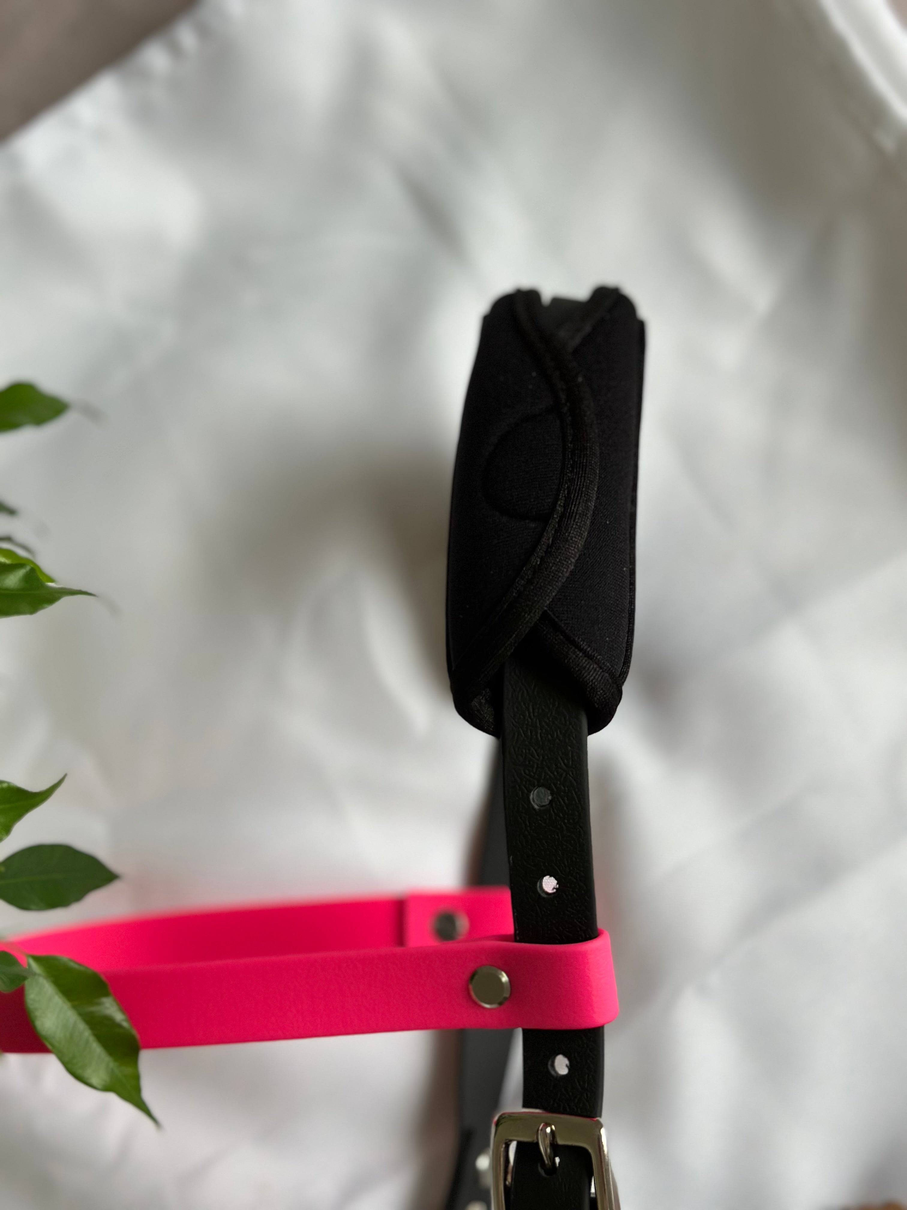 Bridon Vedette - cob