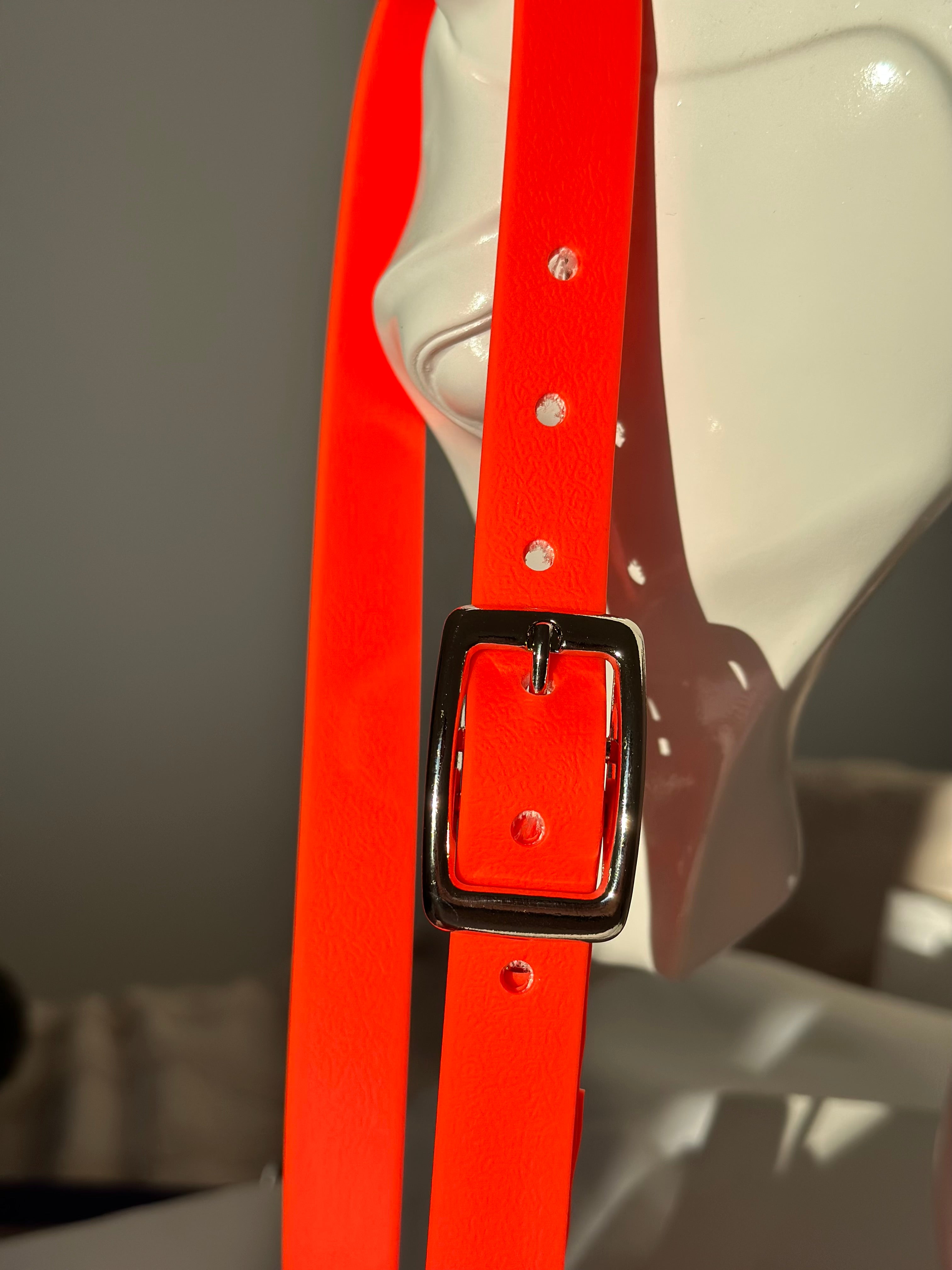 Licol cob - orange néon 🧡