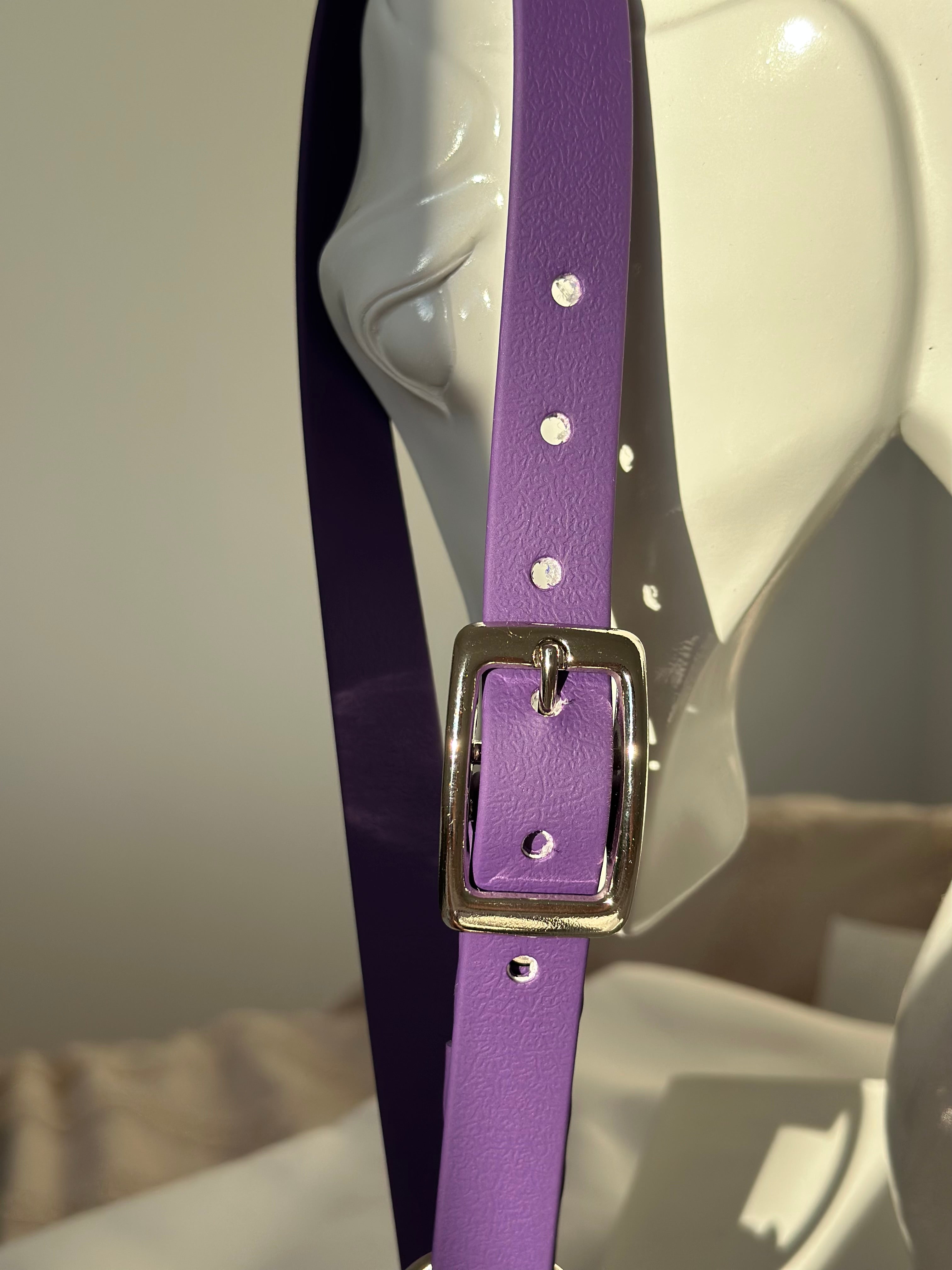 Licol cob - violet 💜